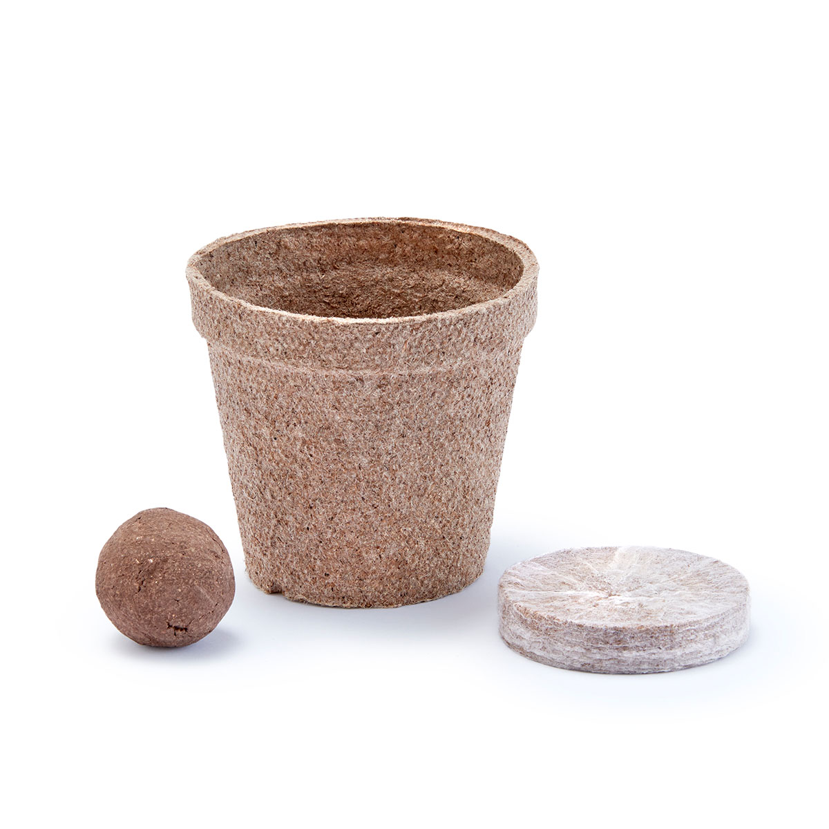 Kit Plantable Creer para Ver