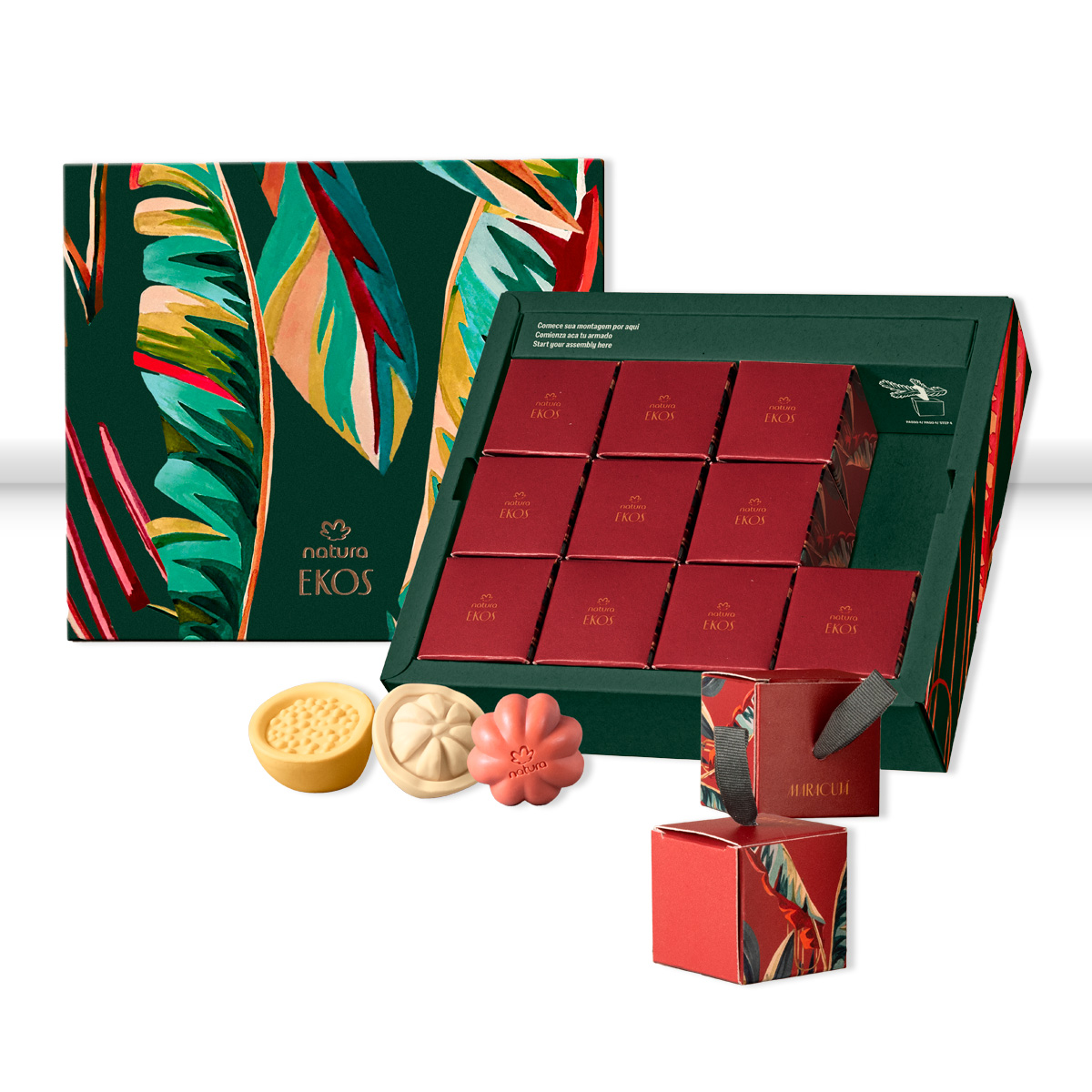 Regalo Ekos encantos del bosque