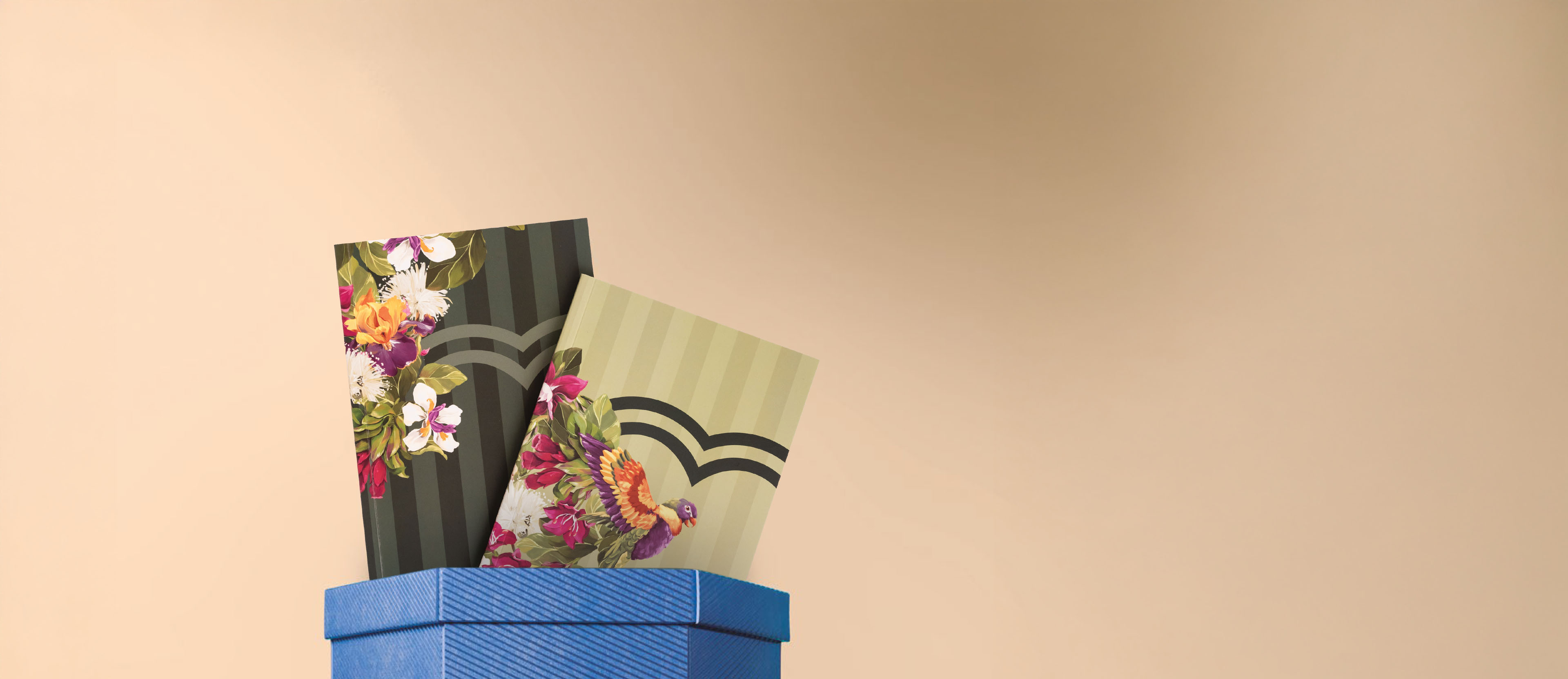 Set de Cuadernos Creer para Ver