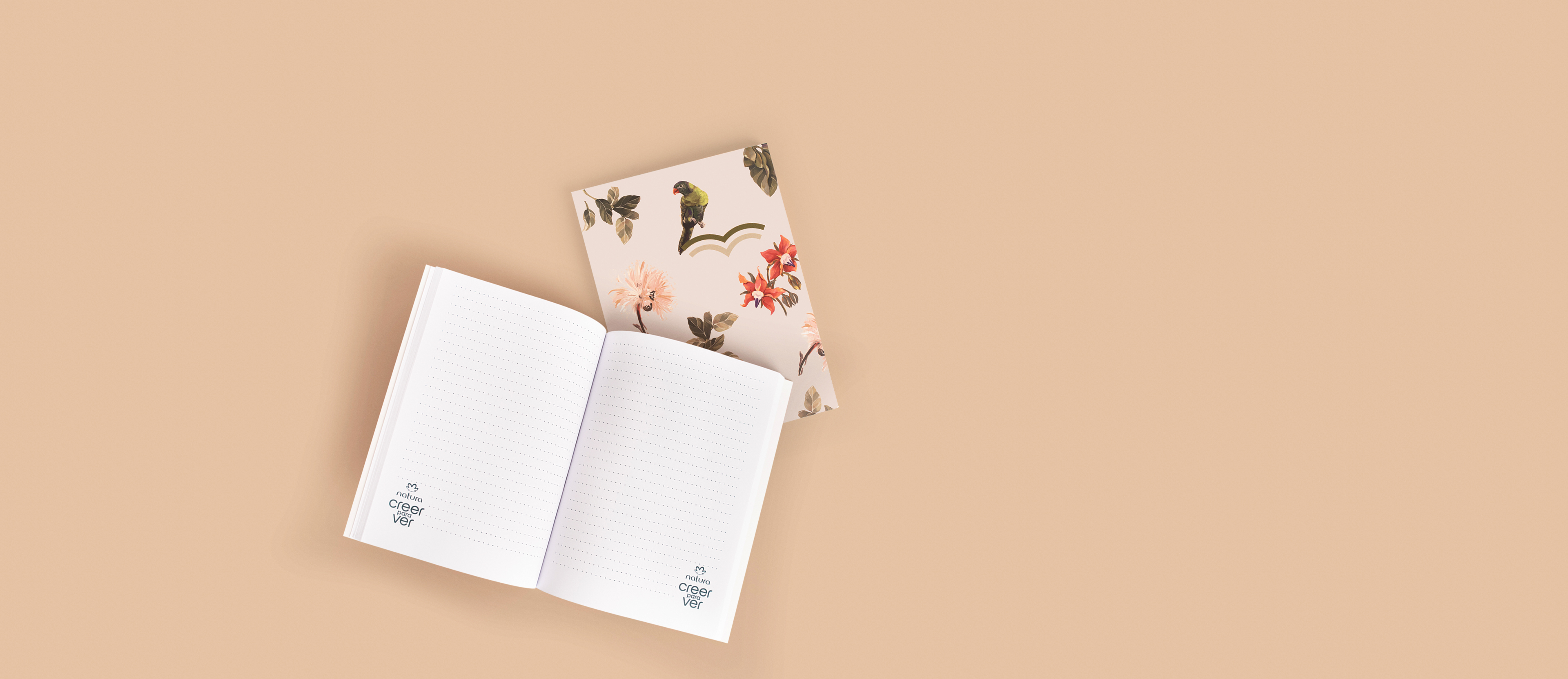 Libreta Transforma Creer para Ver