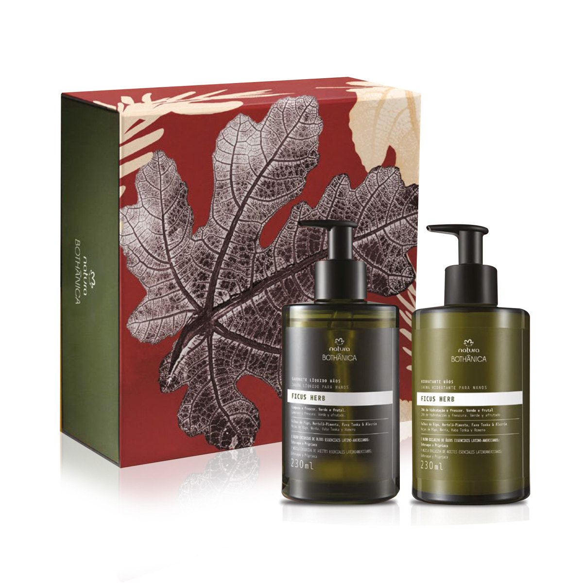 Regalo Bothanica Ficus Herb