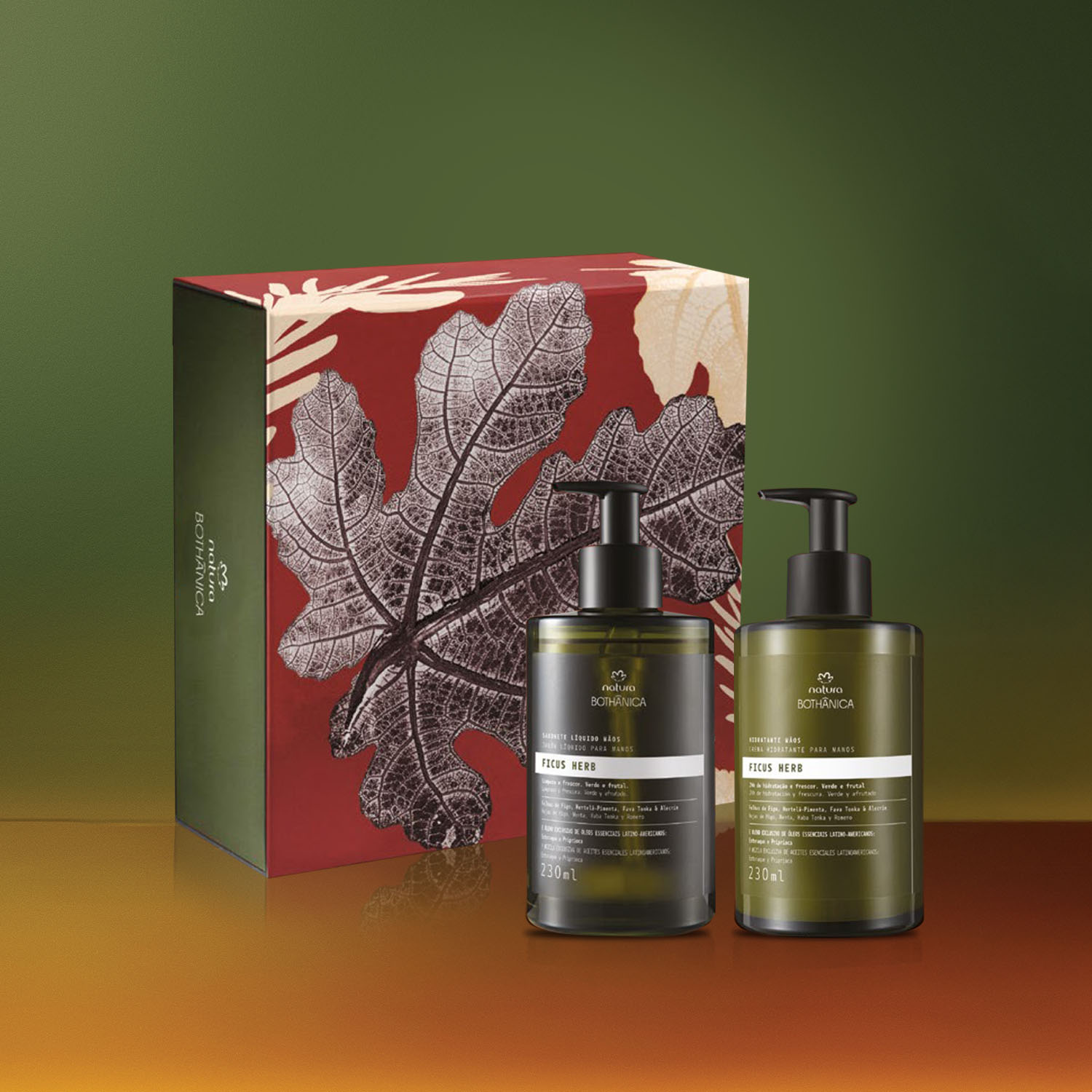 Regalo Bothanica Ficus Herb