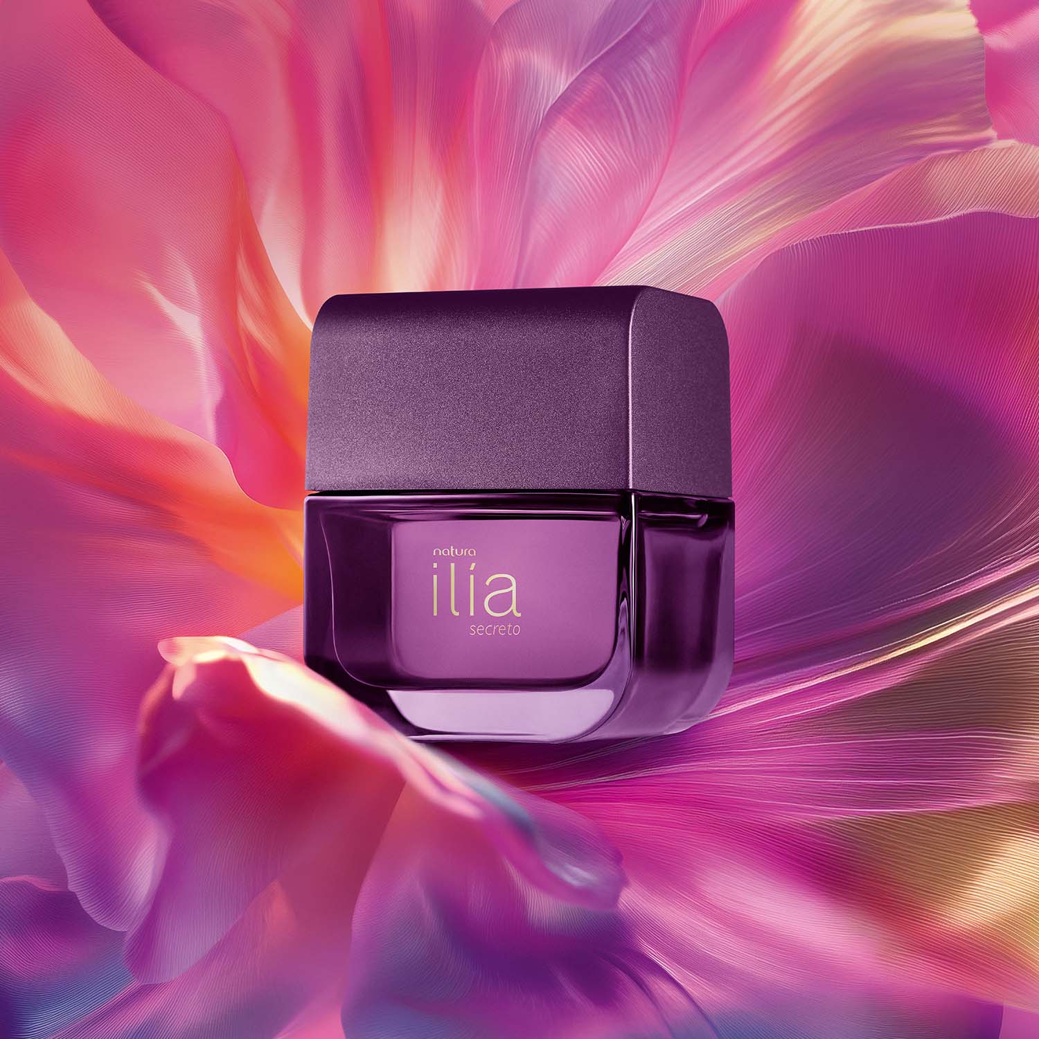 Regalo Ilía Secreto