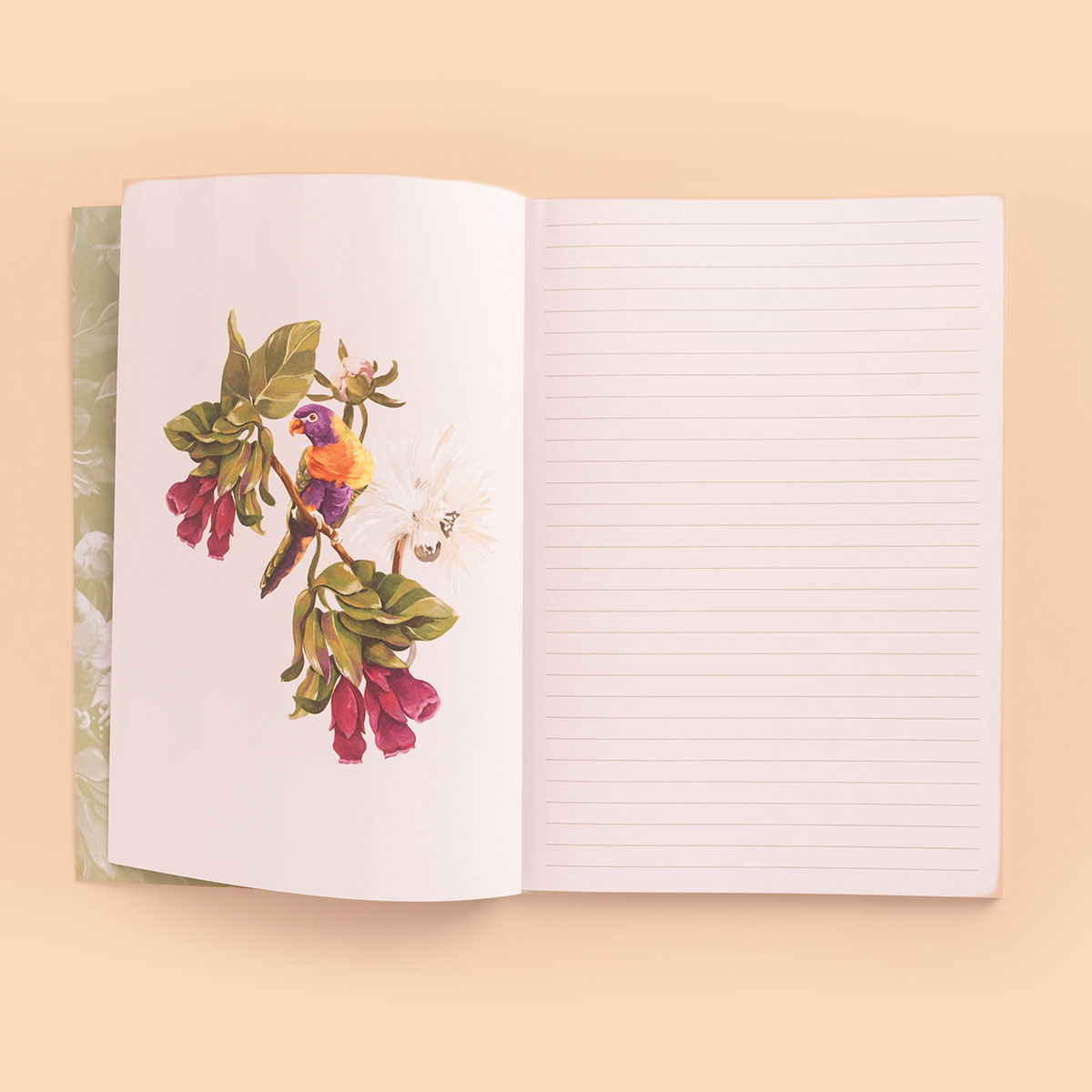 Set de Cuadernos Creer para Ver