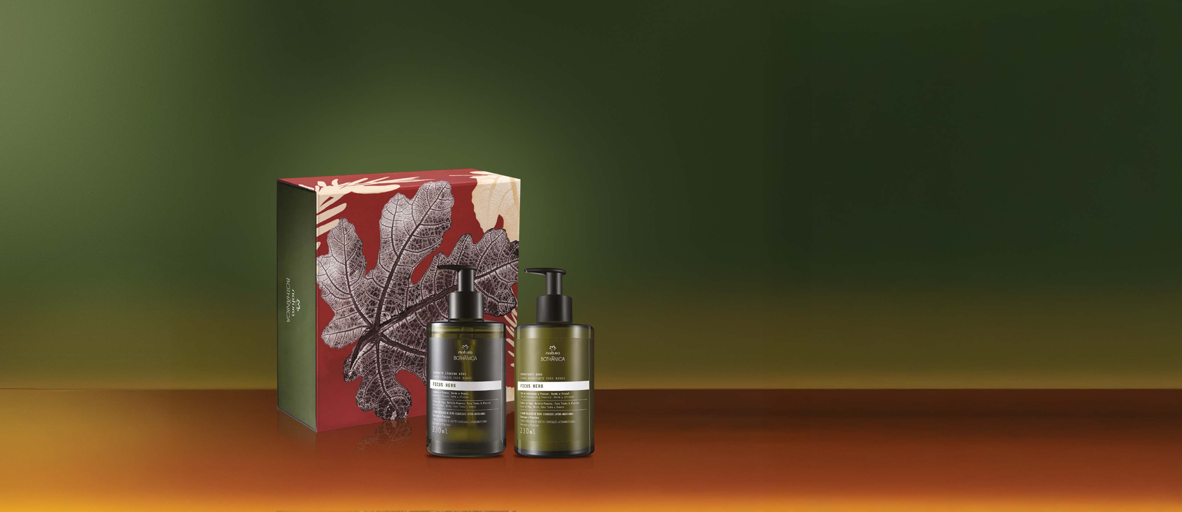 Regalo Bothanica Ficus Herb