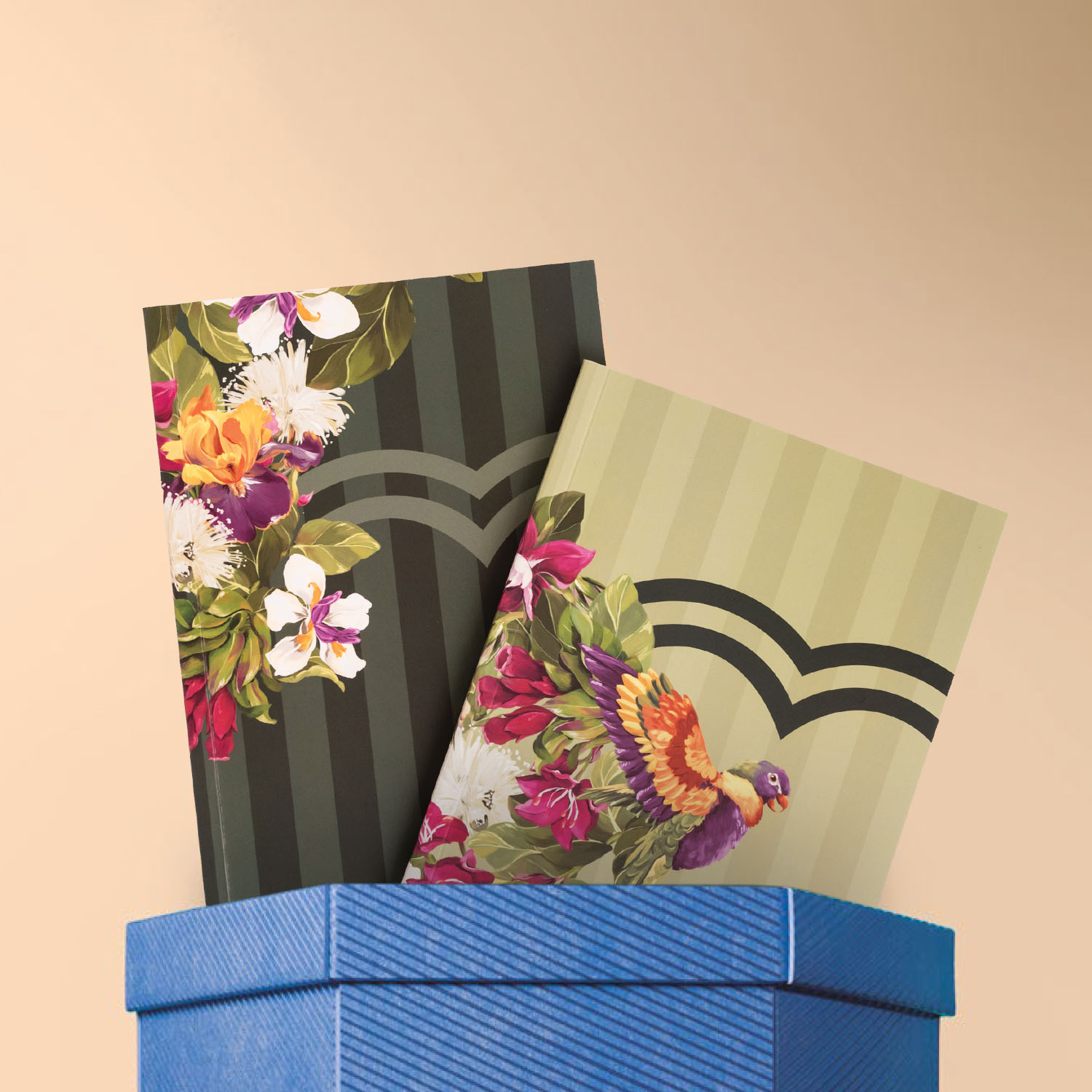 Set de Cuadernos Creer para Ver