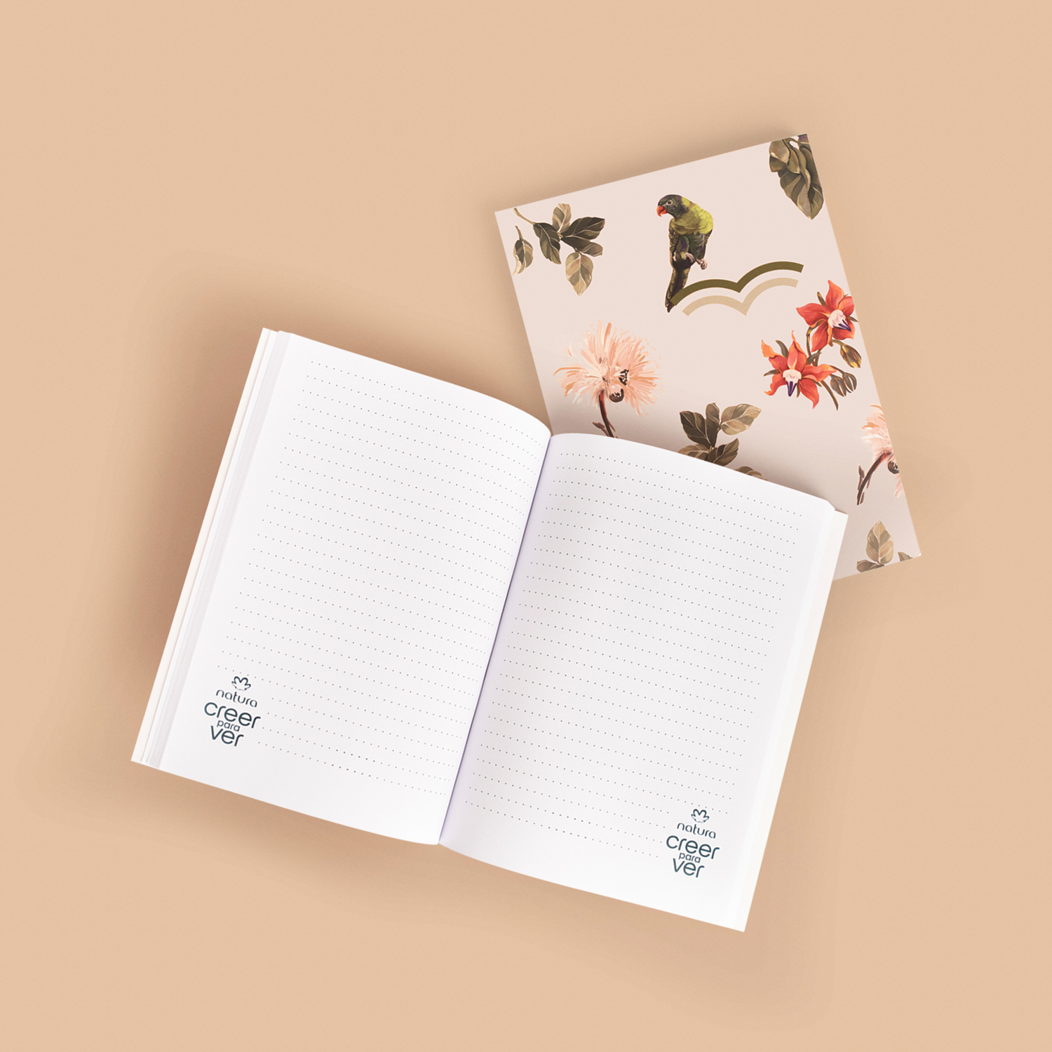 Libreta Transforma Creer para Ver
