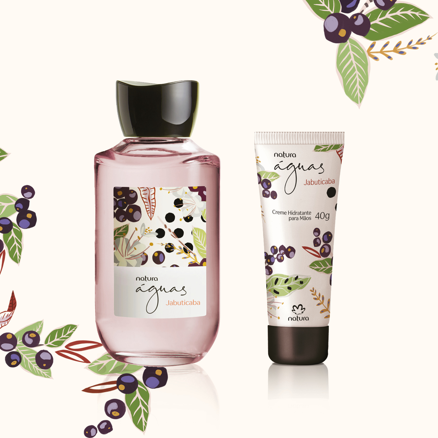 Regalo Águas Jabuticaba