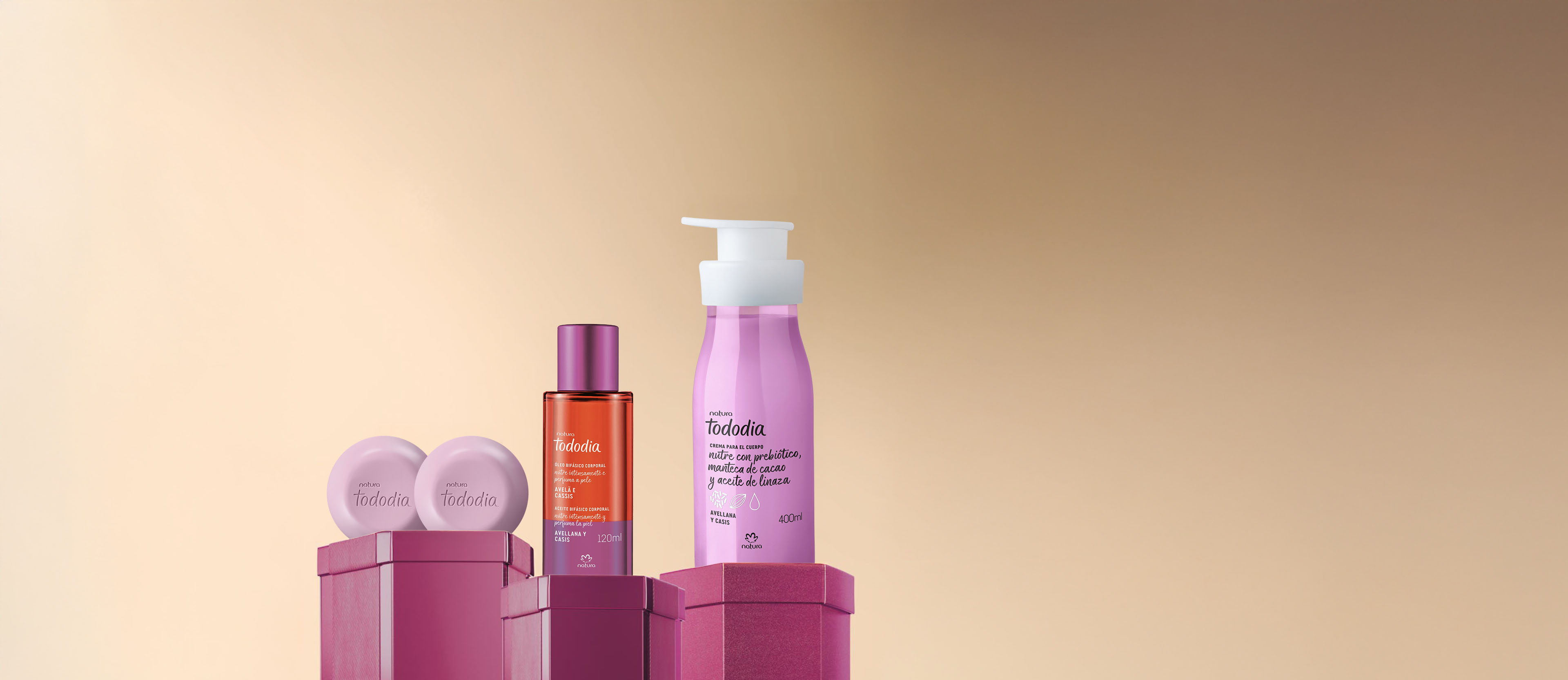 Rutina Tododia Avellana y Casis