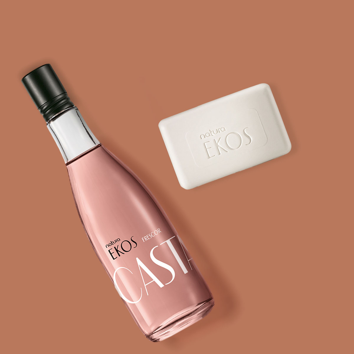 Regalo Ekos Castaña