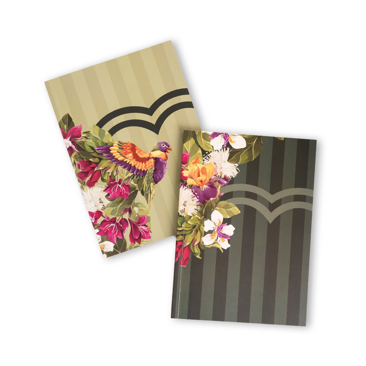 Set de Cuadernos Creer para Ver