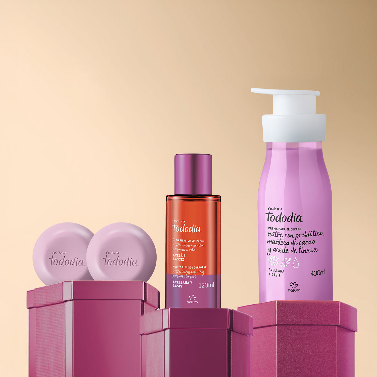 Rutina Tododia Avellana y Casis