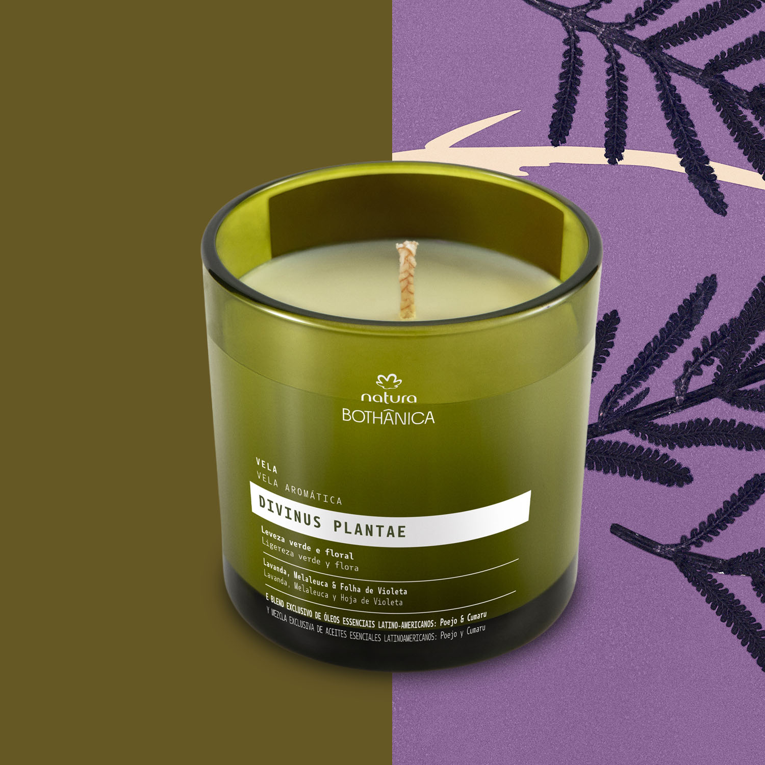 Vela Natura Bothanica Divinus Plantae
