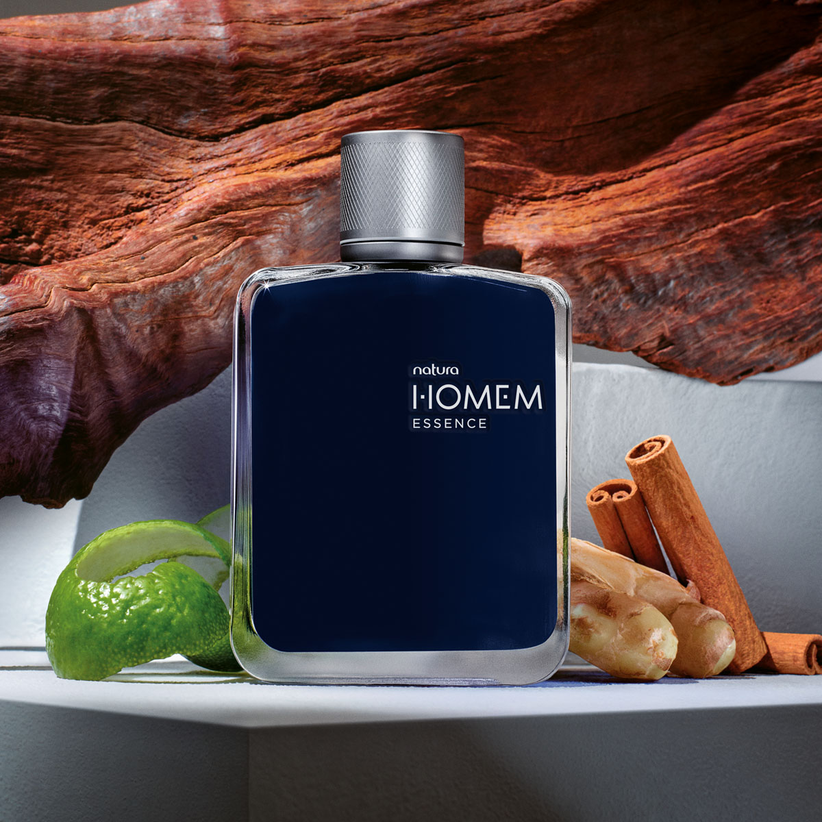 Regalo Homem Essence